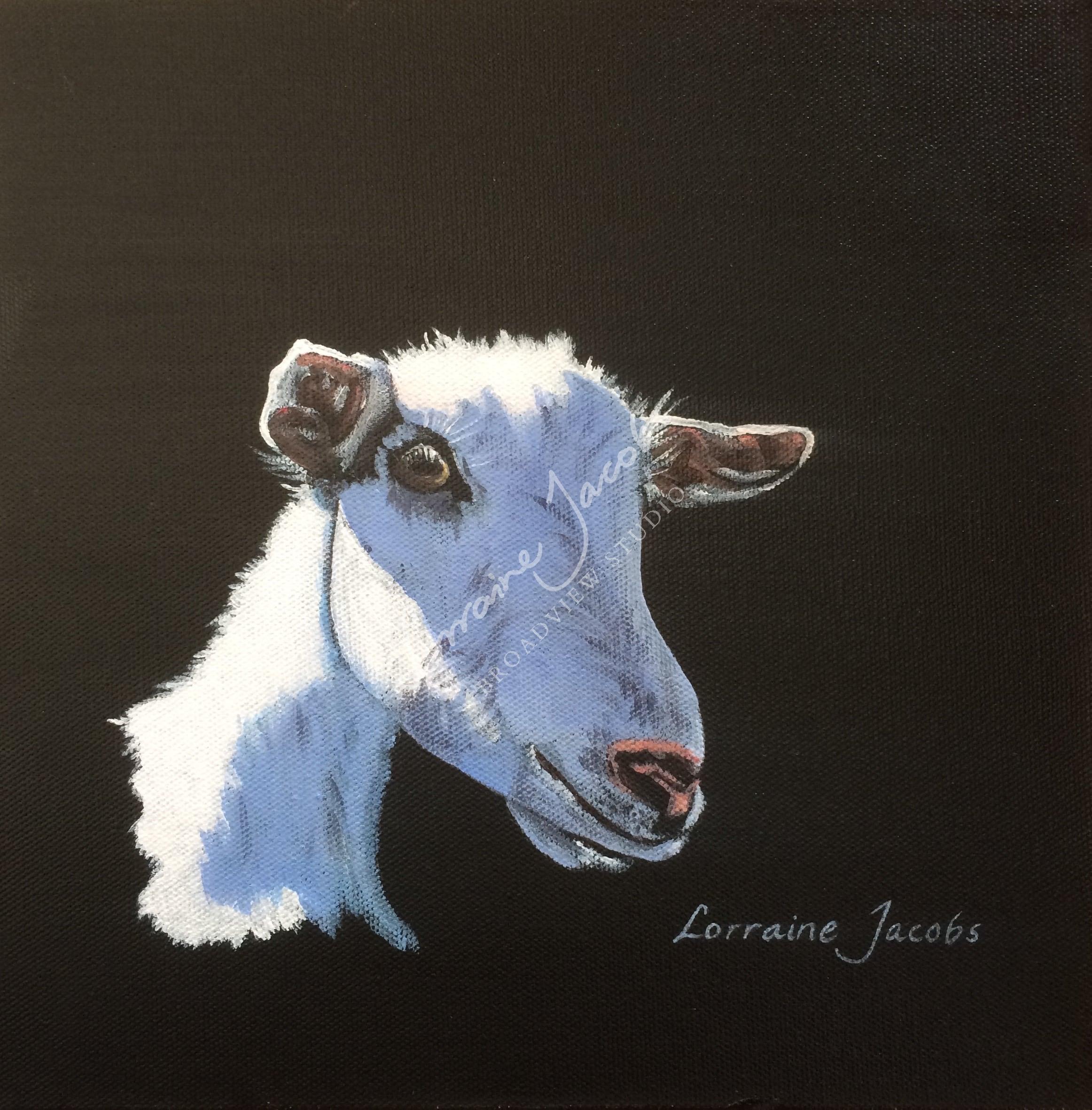1 Goat – Lorraine Jacobs