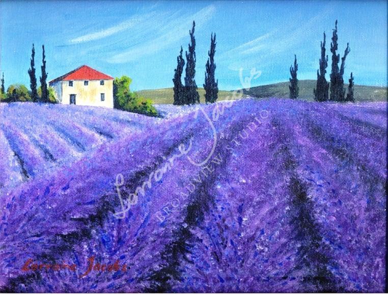 Lavender – Lorraine Jacobs