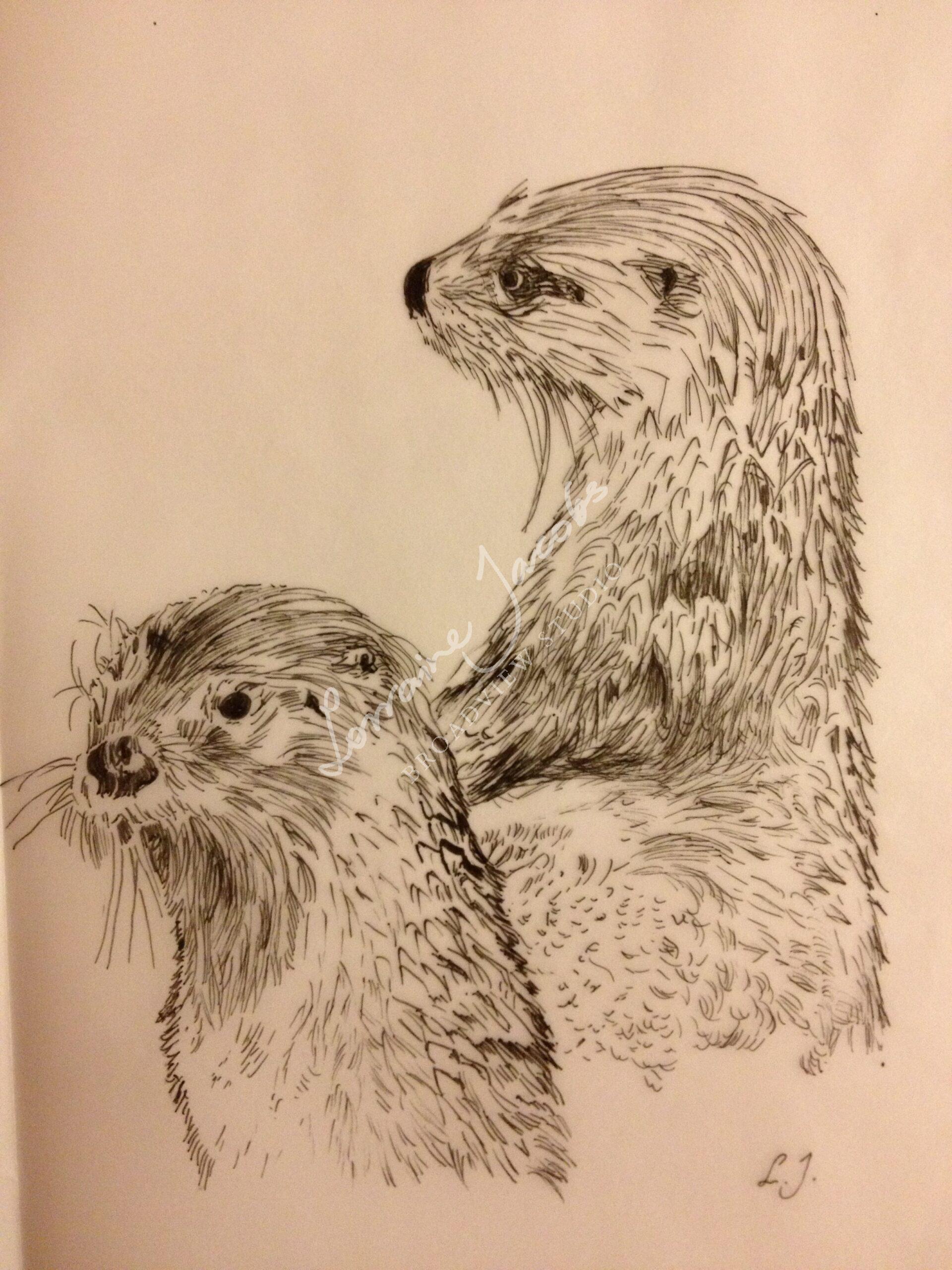 Otters – Lorraine Jacobs