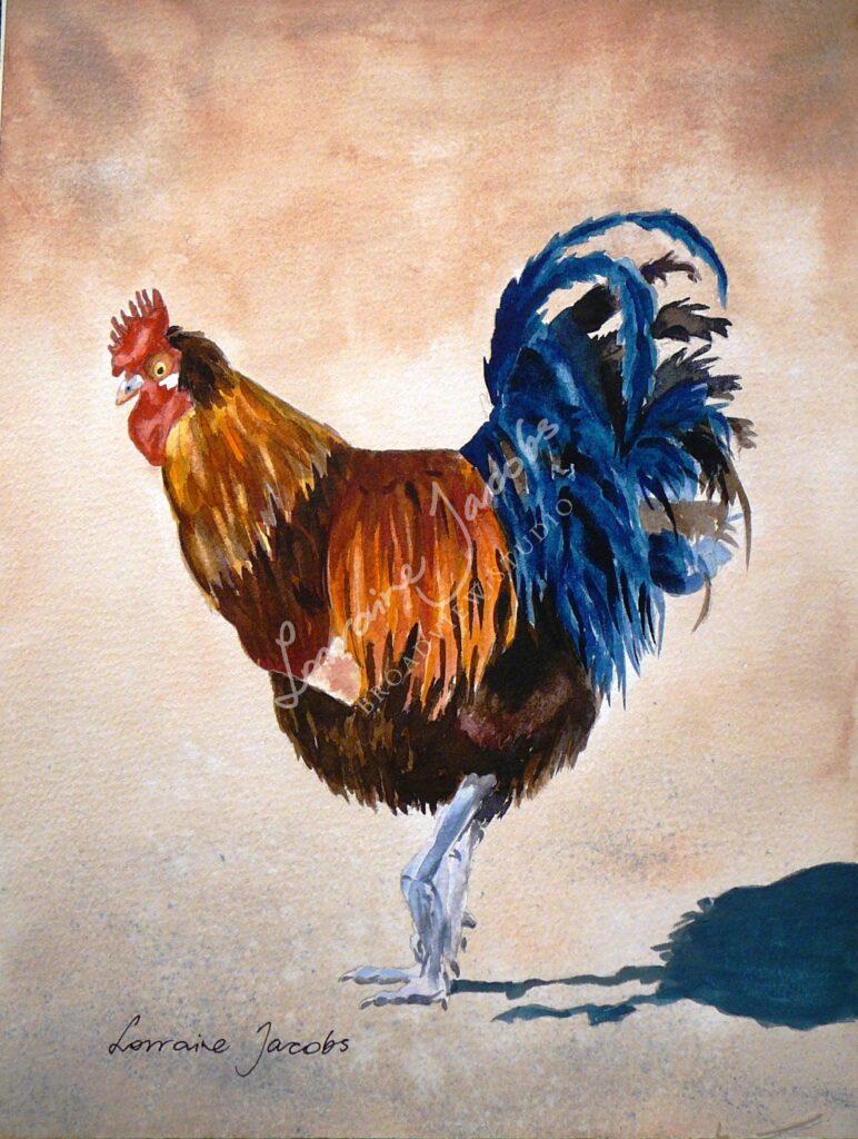 Rooster – Lorraine Jacobs
