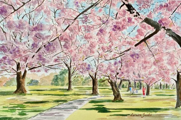 Cherry Blossom Spring (Original)