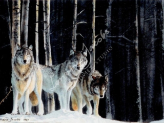 Lorraine Jacobs Commissions 3