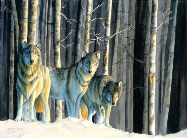 Three Wolves (Print)