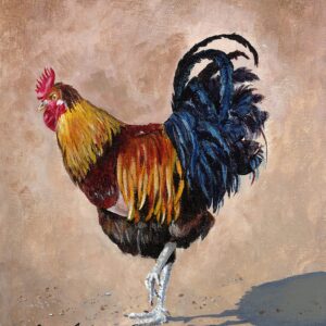 Village Rooster (Print)