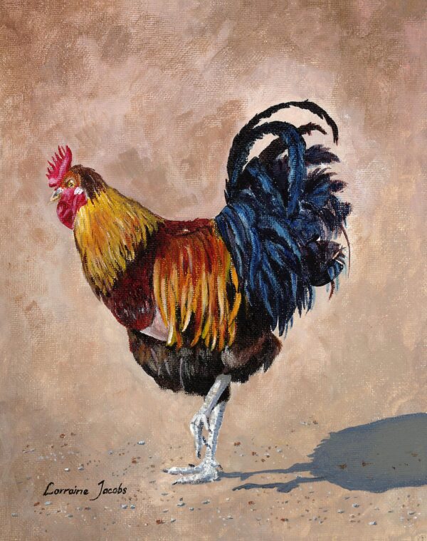 Village Rooster (Print)