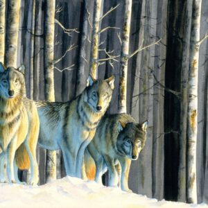Three Wolves (Print)