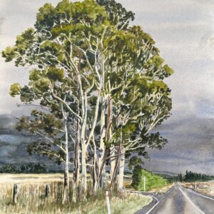 Ghost Gums