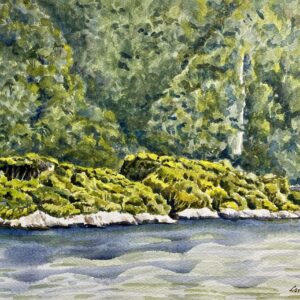 Islands in Dusky Sound