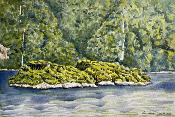 Islands in Dusky Sound
