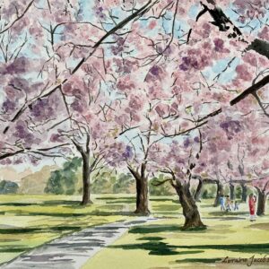 Spring Blossoms, Hagley Park